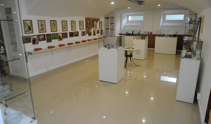 Мастер-класс «Рисунки специями» (Музей специй) — Сборные экскурсии для школьников в Санкт-Петербурге от 500 рублей