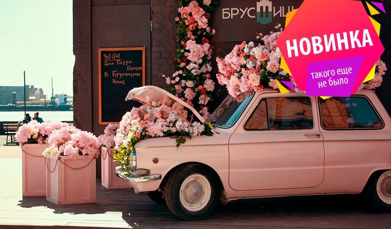 «Настоящее и прошлое Севкабель порта» – пешеходные экскурсии от 1100 рублей