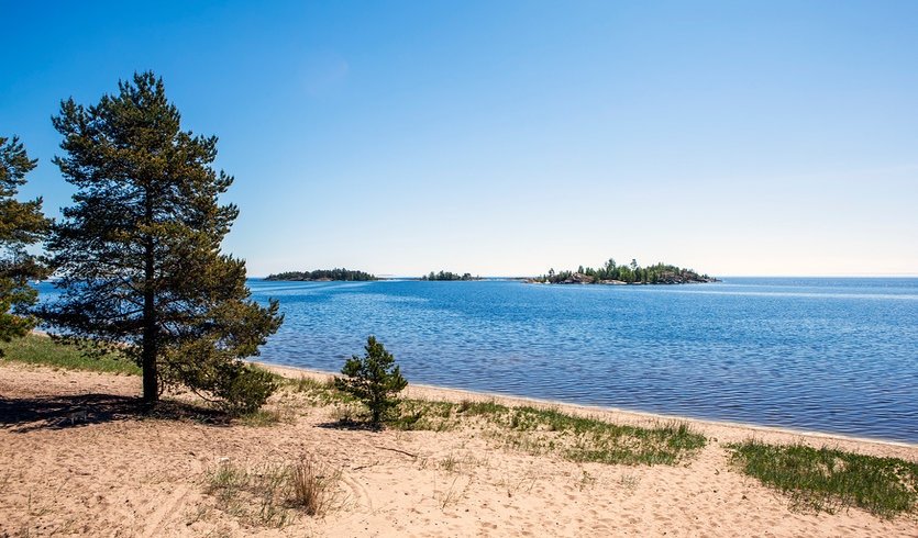 Остров Койонсаари – туры в Карелию от 11850 рублей
