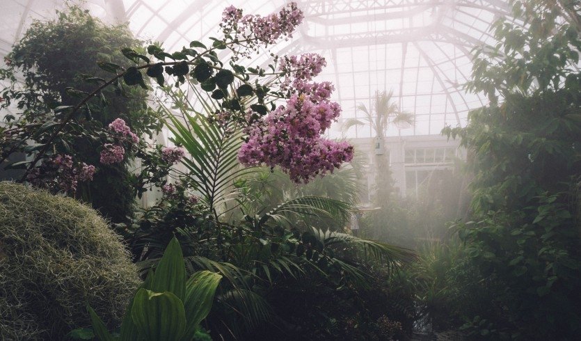 Оранжерея – тематические автобусные экскурсии от 1800 рублей