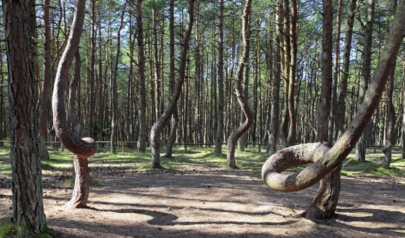 Очарование Балтики (май-октябрь) — экскурсия по расписанию от 13500 рублей