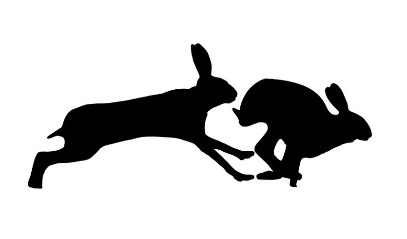 По заячьим следам (квест по Петропавловской крепости) — фото № 4 — Фотобанк Лори / Natalia Vladimirovna Gavrilova  По заячьим следам (квест по Петропавловской крепости) — сборные экскурсии, мастер-классы, квесты для школьников в Санкт-Петербурге от 700 рублей