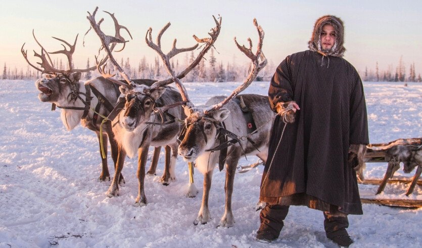 На Масленицу – к северным оленям! – автобусная экскурсия для организованных групп