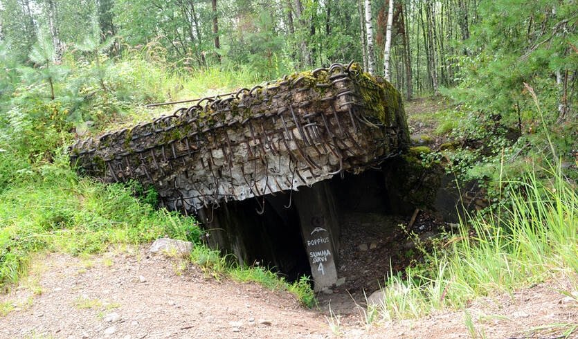 Линия Маннергейма – автобусные экскурсии