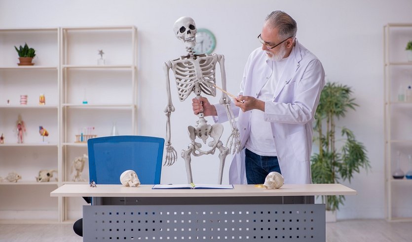 Анатомический «Эрмитаж» — Фото № 1 — Фотобанк Лори / Elnur Анатомический «Эрмитаж» — Музеи