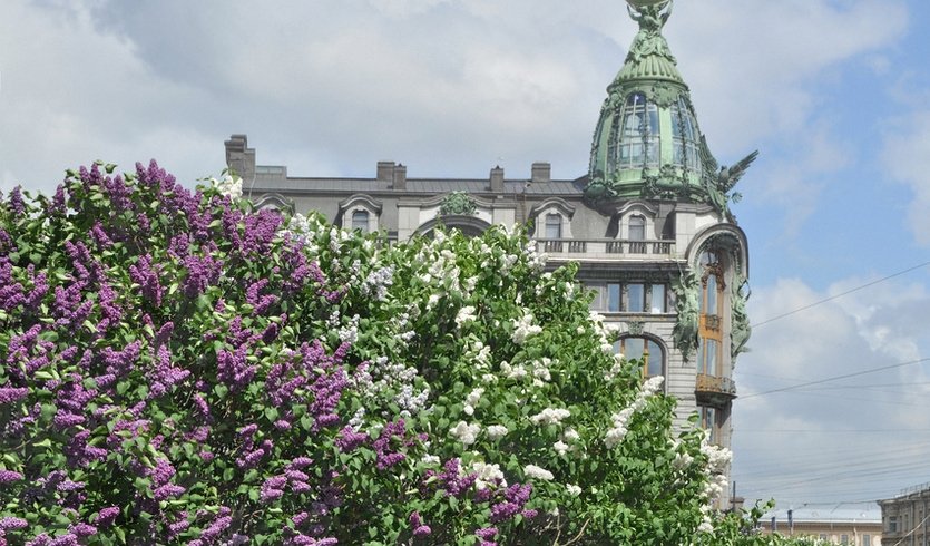 Дом книги – Туры в СПб от 6700 рублей