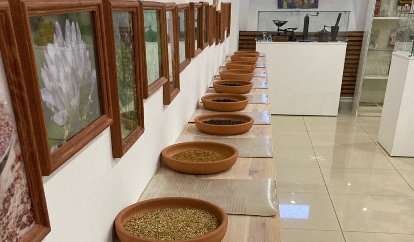 Кофе, шоколад и Петербург (для групп) – автобусные экскурсии для организованных групп от 1650 рублей