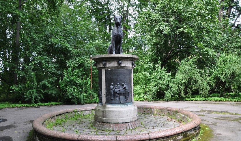 Институт Экспериментальной Медицины: музей и библиотека (для школьных групп) – экскурсии и программы для детей от 900 рублей