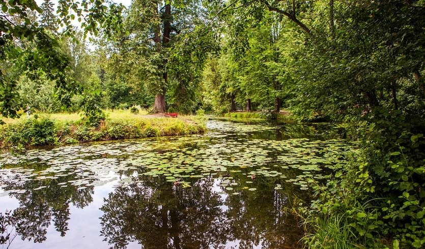 Имение графов Шуваловых и прогулка по Шуваловскому парку – Пешеходные экскурсии