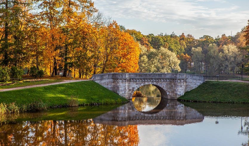 Карпин пруд – экскурсии и программы для детей от 2600 рублей
