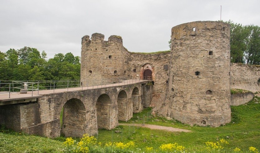 Флаг ингерманландии фото