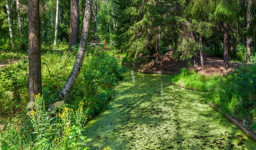 Дачный сезон: Репино-Комарово — Экскурсии для организованных групп от 1450 рублей
