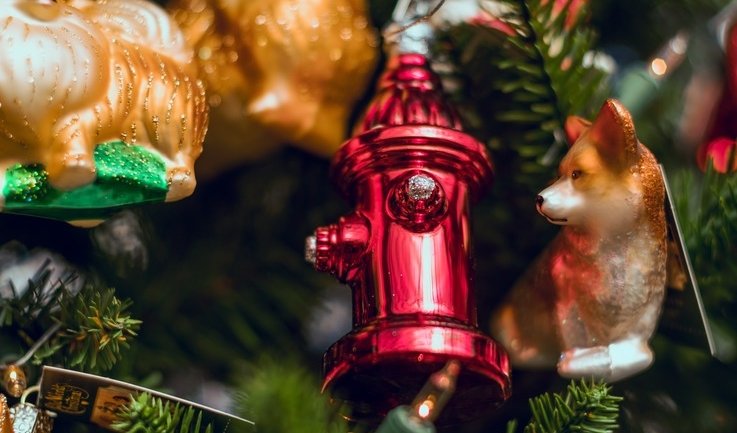 Новогодние укращения – сборные экскурсии для школьников в Санкт-Петербурге от 500 рублей Новогодние укращения – сборные экскурсии для школьников в Санкт-Петербурге от 500 рублей