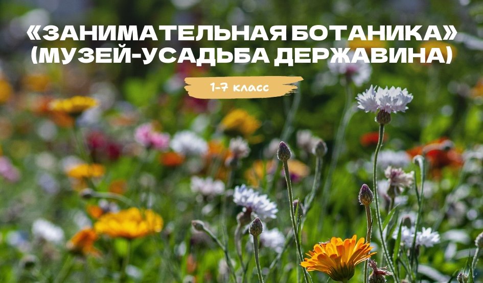 Квест «Занимательная ботаника, или О чем молчат цветы» (Музей-усадьба Державина) (для школьных групп) – квесты для школьников от 480 рублей