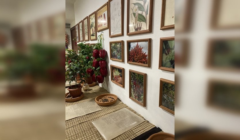 Пряное путешествие в Музей специй (мастер-класс с дегустацией) для групп — Интерьерные