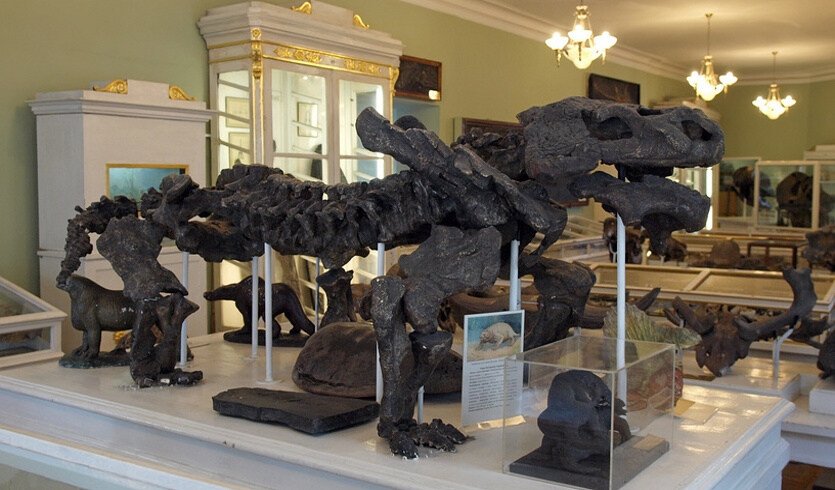 Музей Горного университета — фото №4 — Фотобанк Лори/Цибаев Алексей Музей Горного университета — Музеи