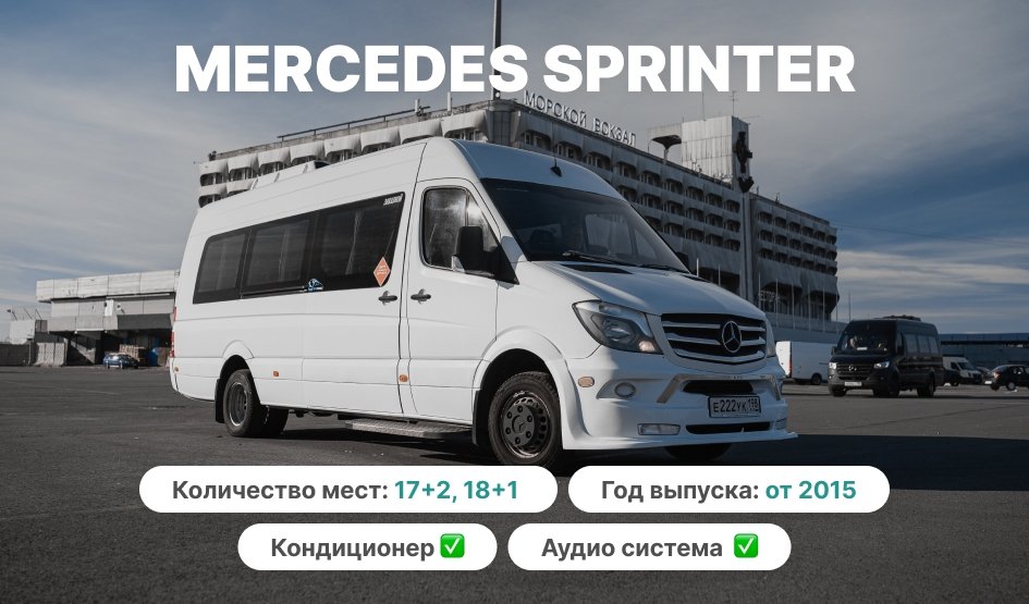 Трансфер из Пулково с обзорной экскурсией Трансфер из Пулково с обзорной экскурсией