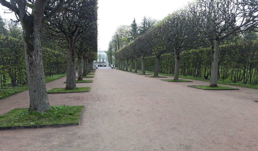 Здесь столько лир повешено на ветки… - по памятным литературным местам Царского Села (для заказных групп) – автобусные экскурсии для организованных групп