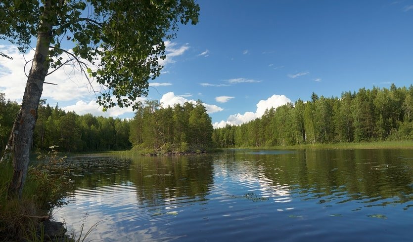 Природа Карелии – туры в Карелию