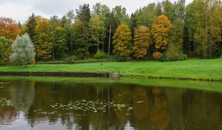 Павловский парк – пешеходные экскурсии для заказных групп от 530 рублей