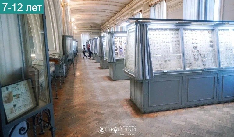 Животные Красной книги мира (Зоологический музей) – детские экскурсии от 700