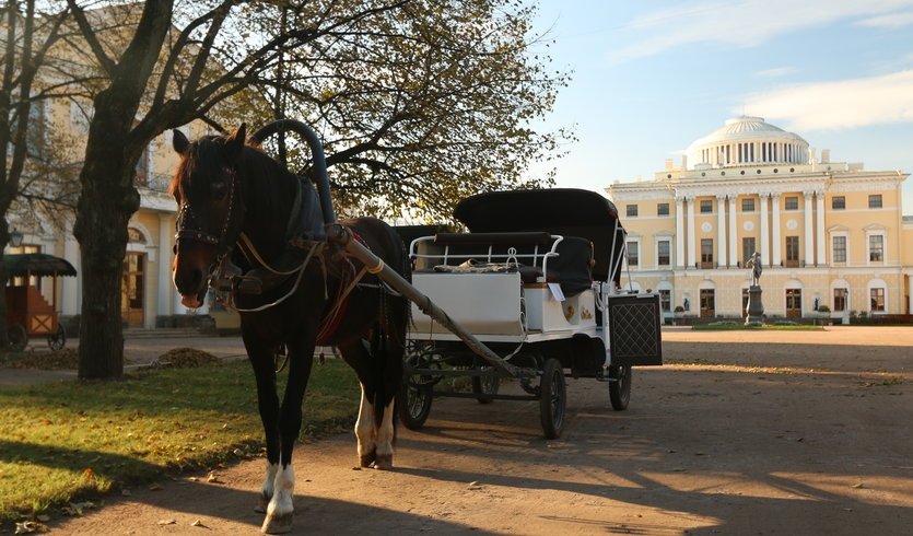 Павловский дворец – экскурсии и программы для детей от 1800 рублей