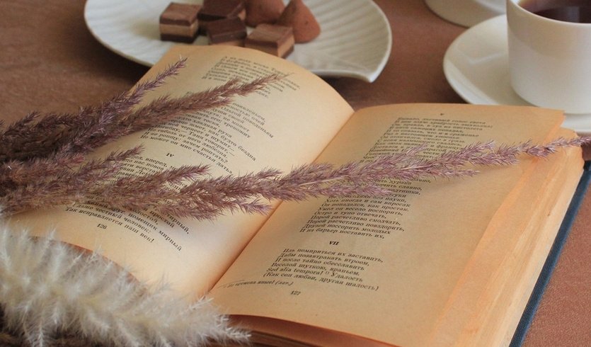 Литература – интерьерные экскурсии 3450 рублей