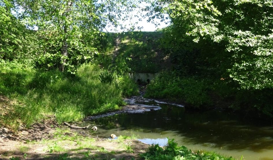 Все, что осталось от водоспуска старого пруда в Удельном парке – пешеходные экскурсии от 1100 рублей