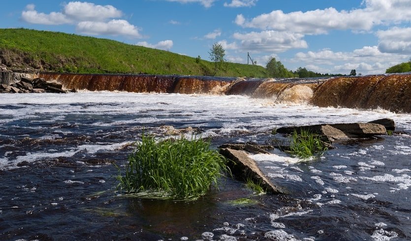 Экскурсионный поход в Саблино – фото №1 – Фотобанк Лори/ Дымов Игорь  Экскурсионный поход в Саблино – Пешеходные экскурсии