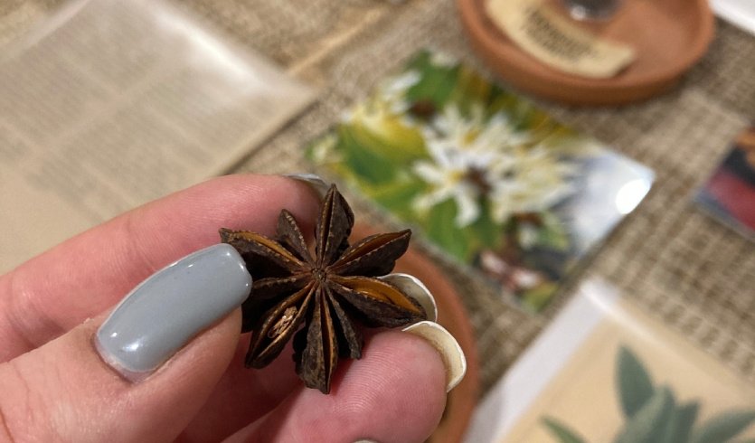 Кофе, шоколад и Петербург (для групп) – автобусные экскурсии для организованных групп от 1650 рублей