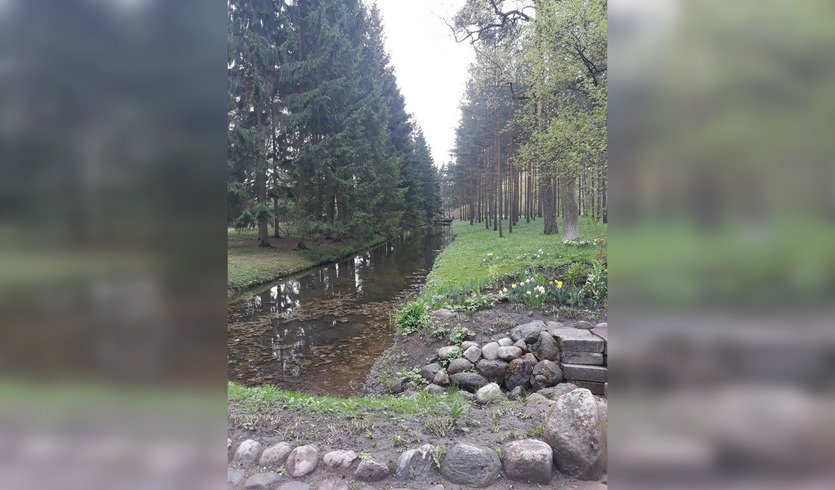 Здесь столько лир повешено на ветки… - по памятным литературным местам Царского Села — Автобусные загородные