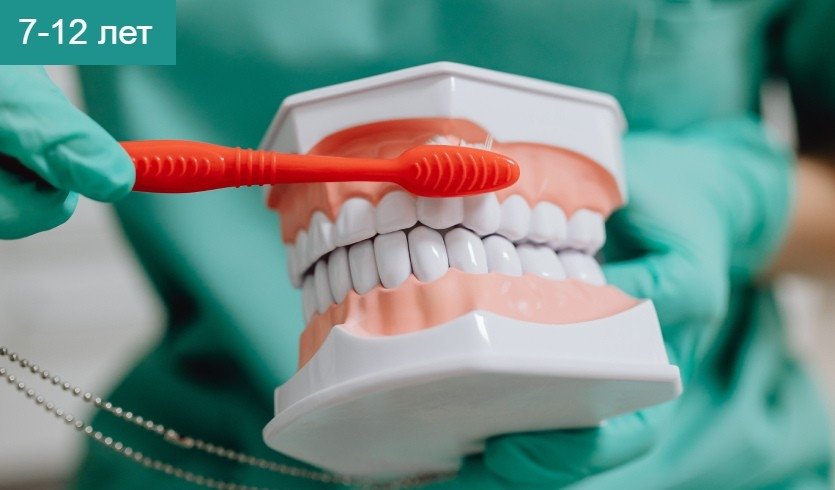 Веселые приключения здорового зуба (интерактив в Военно-медицинском музее) – сборные экскурсии для школьников в Санкт-Петербурге