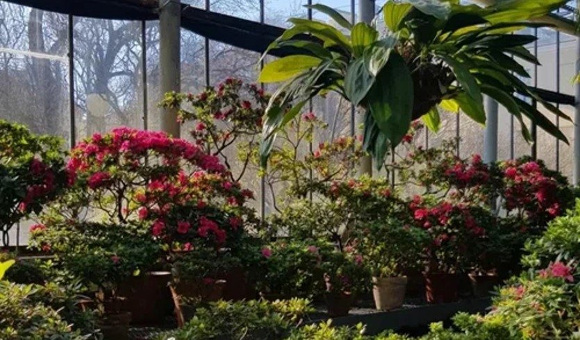 Ботанический Сад – Сборные экскурсии для школьников в Санкт-Петербурге