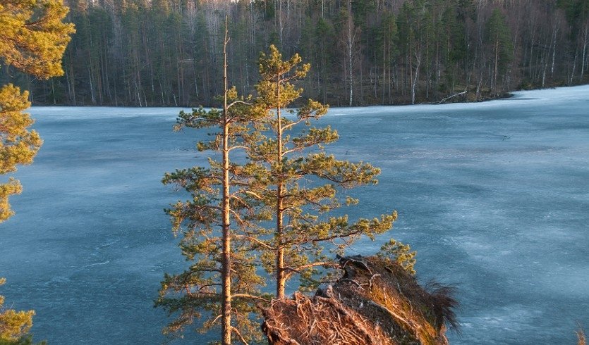 Серебряная чаша Ястребиного озера – загородные экскурсии от 2300 рублей