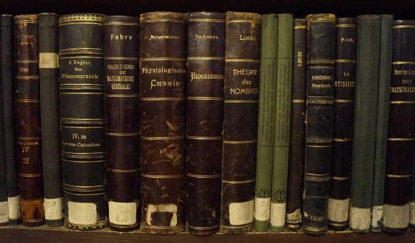 Библиотека — Экскурсии в музеи и общественные учреждения от 700 рублей