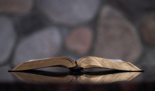 Раскрытая книга – экскурсии и программы для детей от 240 рублей