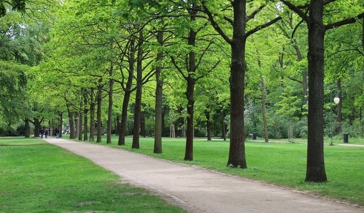 Имение графов Шуваловых и прогулка по Шуваловскому парку (для заказных групп) – пешеходные эксурсии для заказных групп от 290 рублей