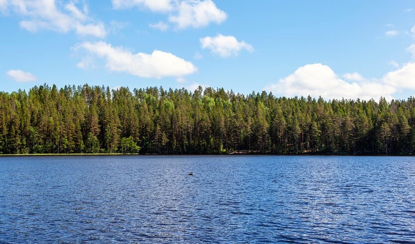 Карельский перешеек. Тайны природы — Автобусные загородные