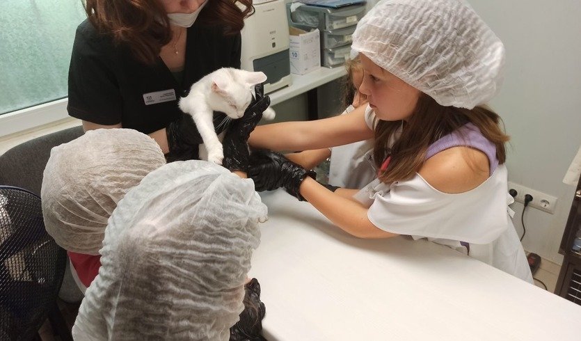 «Юный ветеринар» (интерактивная экскурсия) — сборные экскурсии, мастер-классы, квесты для школьников в Санкт-Петербурге от 1200 рублей