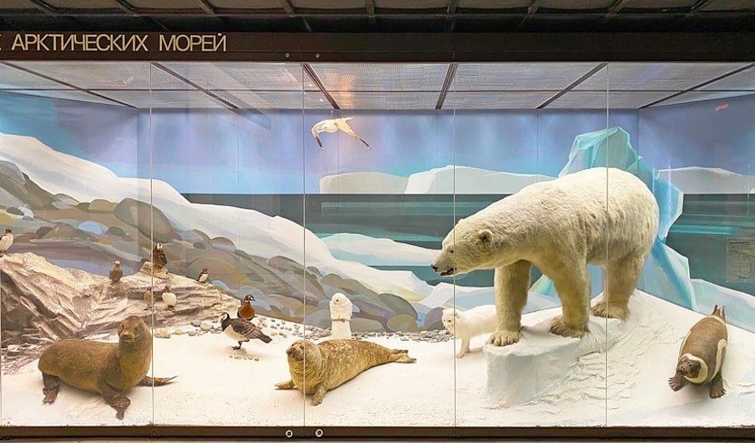 История исследования и освоения Северного морского пути (музей Арктики и Антарктики) – музеи