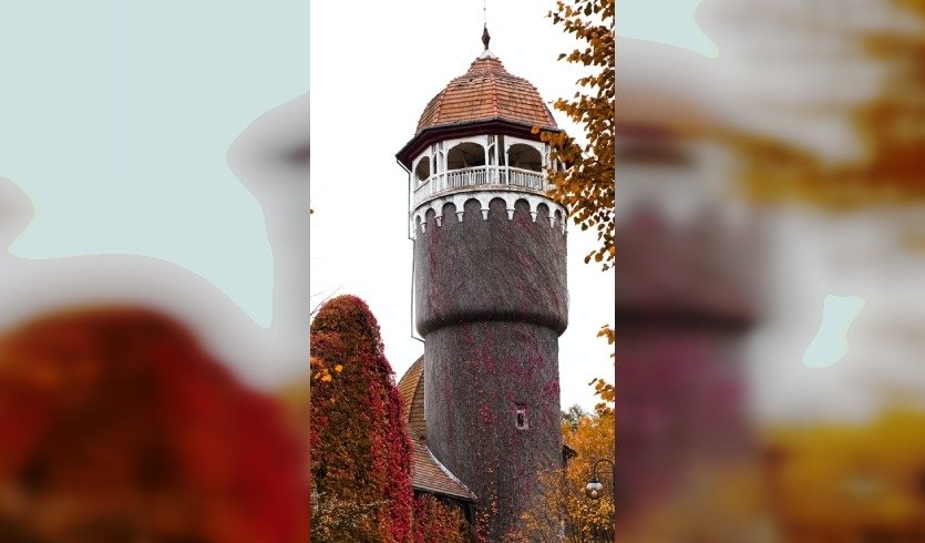 Новый год на самом западе России — фото №6 — Photo by Mark Tryapichnikov on Unsplash Новый год на самом западе России — тур не периодичный от 17000 рублей