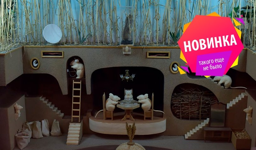 Новогоднее путешествие в Центральном музее почвоведения им. В. В. Докучаева – интерьерные экскурсии от 1200 рублей