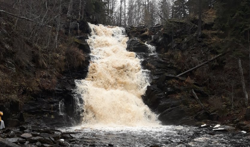 Сила природы Карелии – туры в Карелию от 14850 рублей