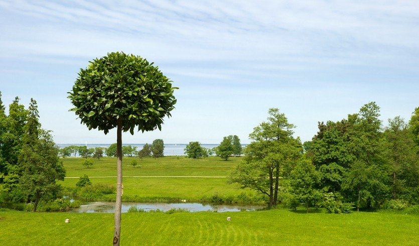 Императорский Петергоф — парк Александрия (велосипедная экскурсия) — Корпоративные мероприятия от 1600 рублей