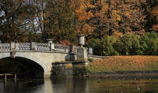 Павловский парк – пешеходные экскурсии для заказных групп от 530 рублей