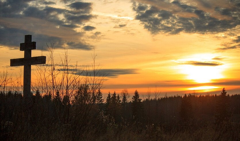 Усадьба елизаветино фото