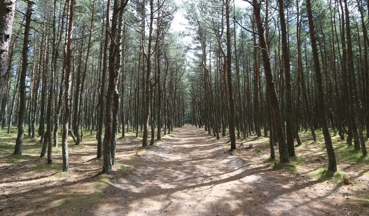 Калининград на 360 за 5 дней — Туры по Северо-Западу - от 58900 рублей