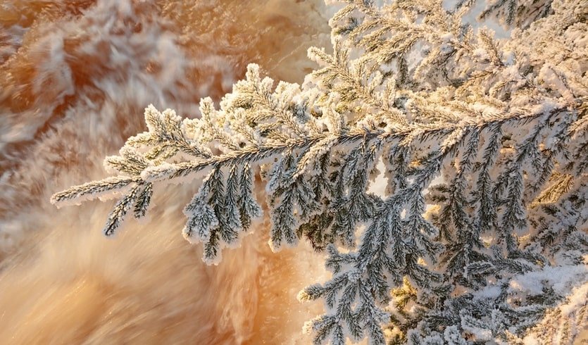 Новый год с карельской диковинкой! Новогодний банкет на причале – туры в Карелию от 24350 рублей Новый год с карельской диковинкой! Новогодний банкет на причале – туры в Карелию от 24350 рублей