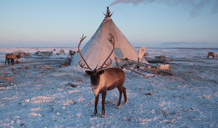 Сибирь – Экскурсии для школьников в Санкт-Петербурге под заказ от 505 рублей