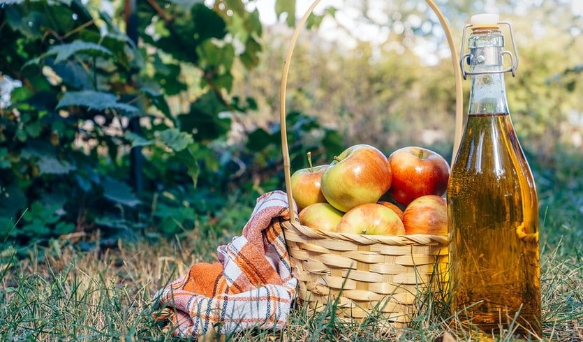 Корзинка яблок и сидр – сборные туры в Санкт-Петербург от 5590 рублей Корзинка яблок и сидр – сборные туры в Санкт-Петербург от 5590 рублей